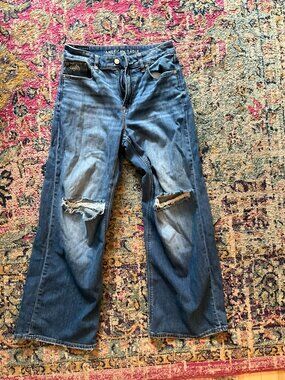American Eagle Wideleg Stretch Jean 2 short